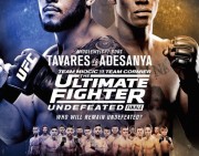 The Ultimate Fighter 27 Finale